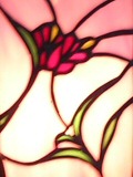 vitrail rose