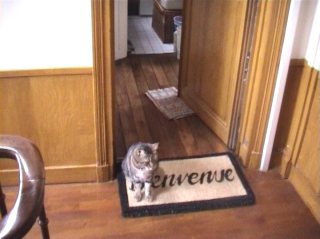 Marbre 2002
